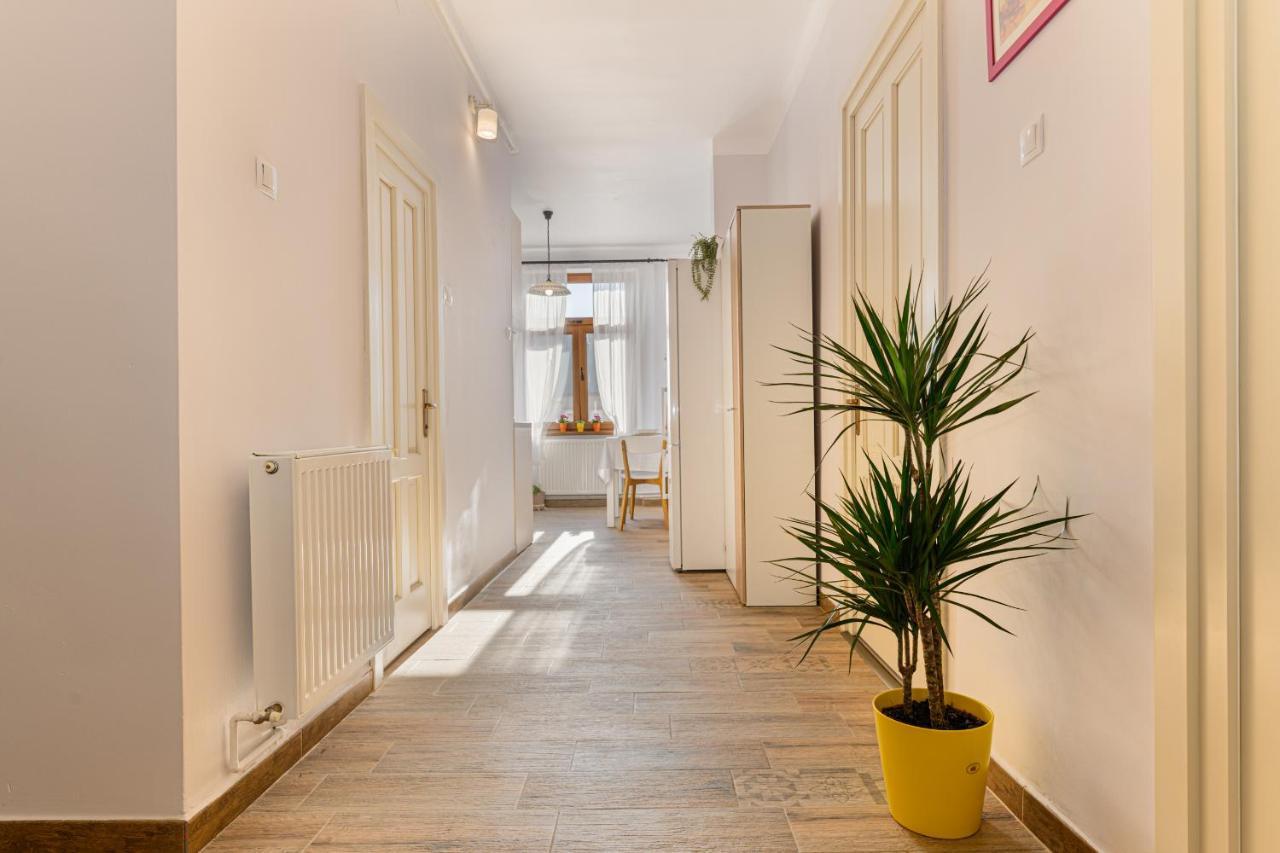 Chic&View Brasov Apartment エクステリア 写真