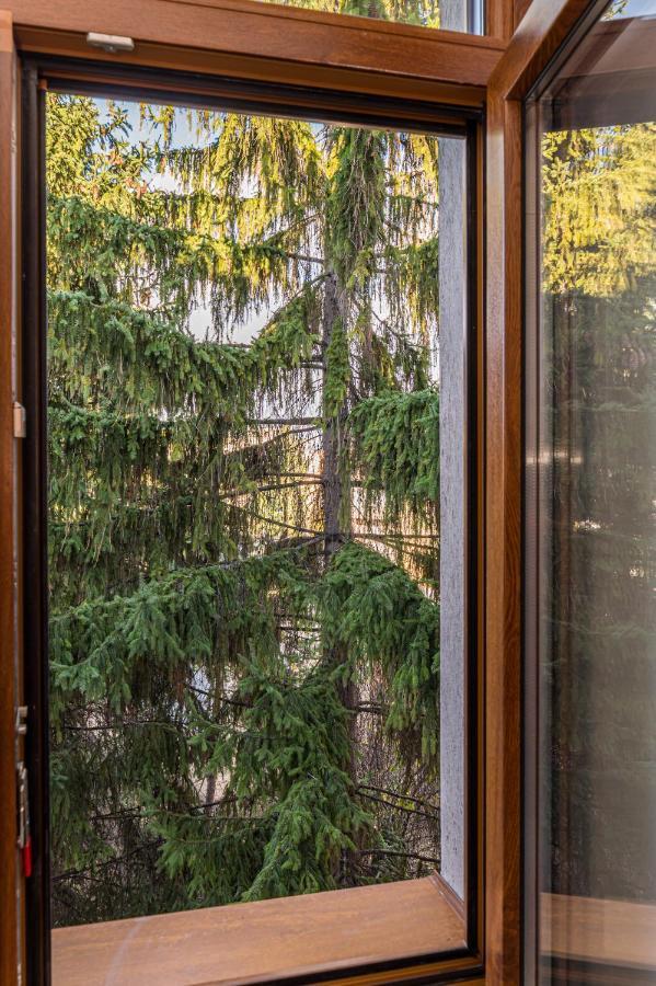 Chic&View Brasov Apartment エクステリア 写真