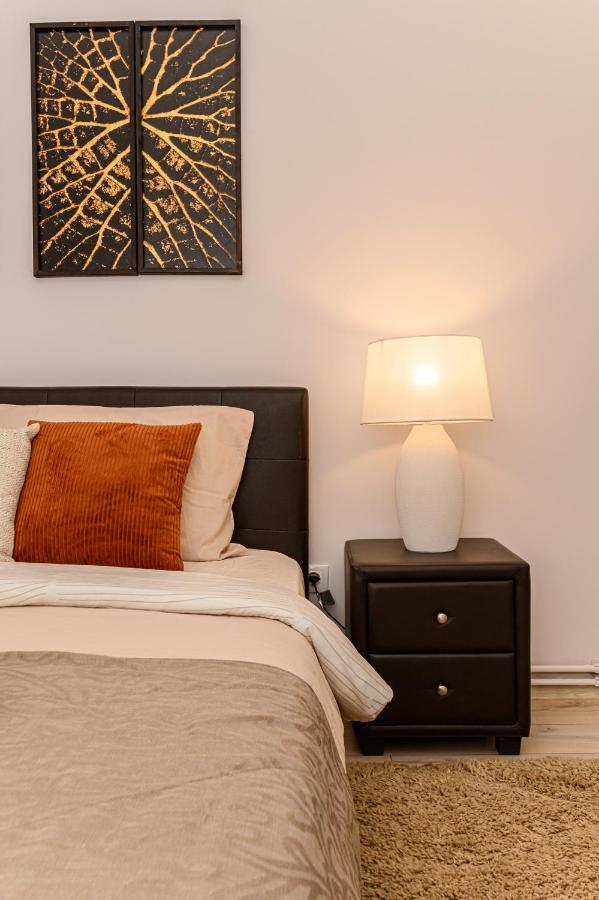 Chic&View Brasov Apartment エクステリア 写真